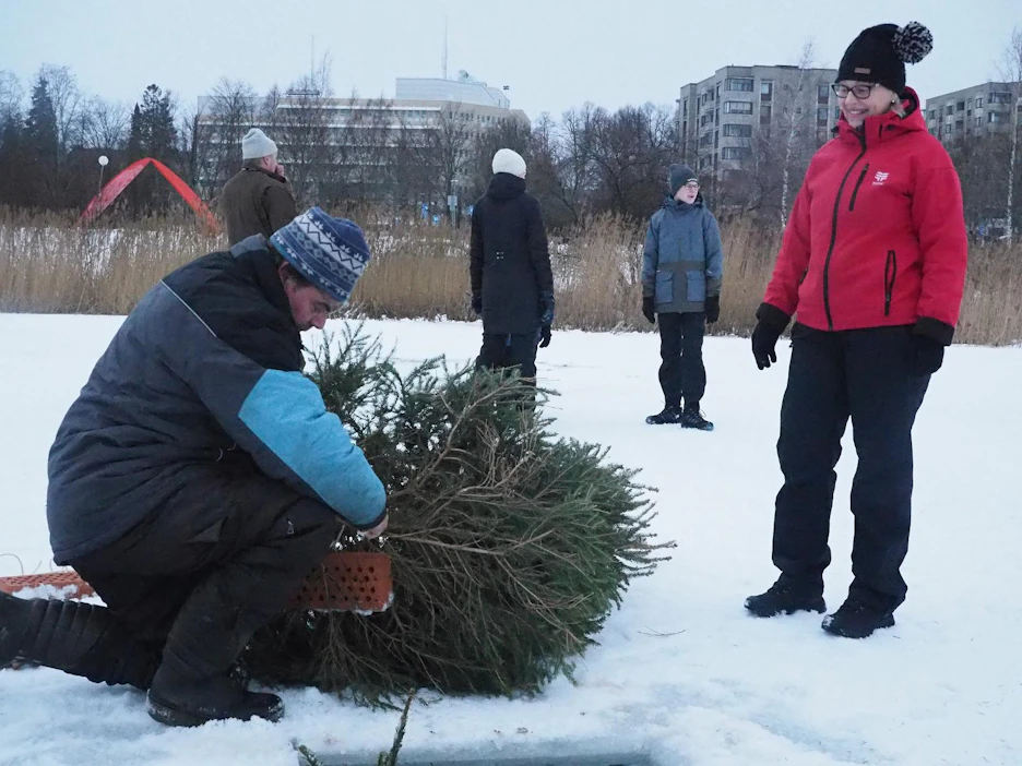 Veteen upotettavista joulukuusista syntyy kututuroja, eli kutupaikkoja kaloille. Etenkin kaupunkien ja taajamien rantavesissä on huutava pula kutupaikoista.