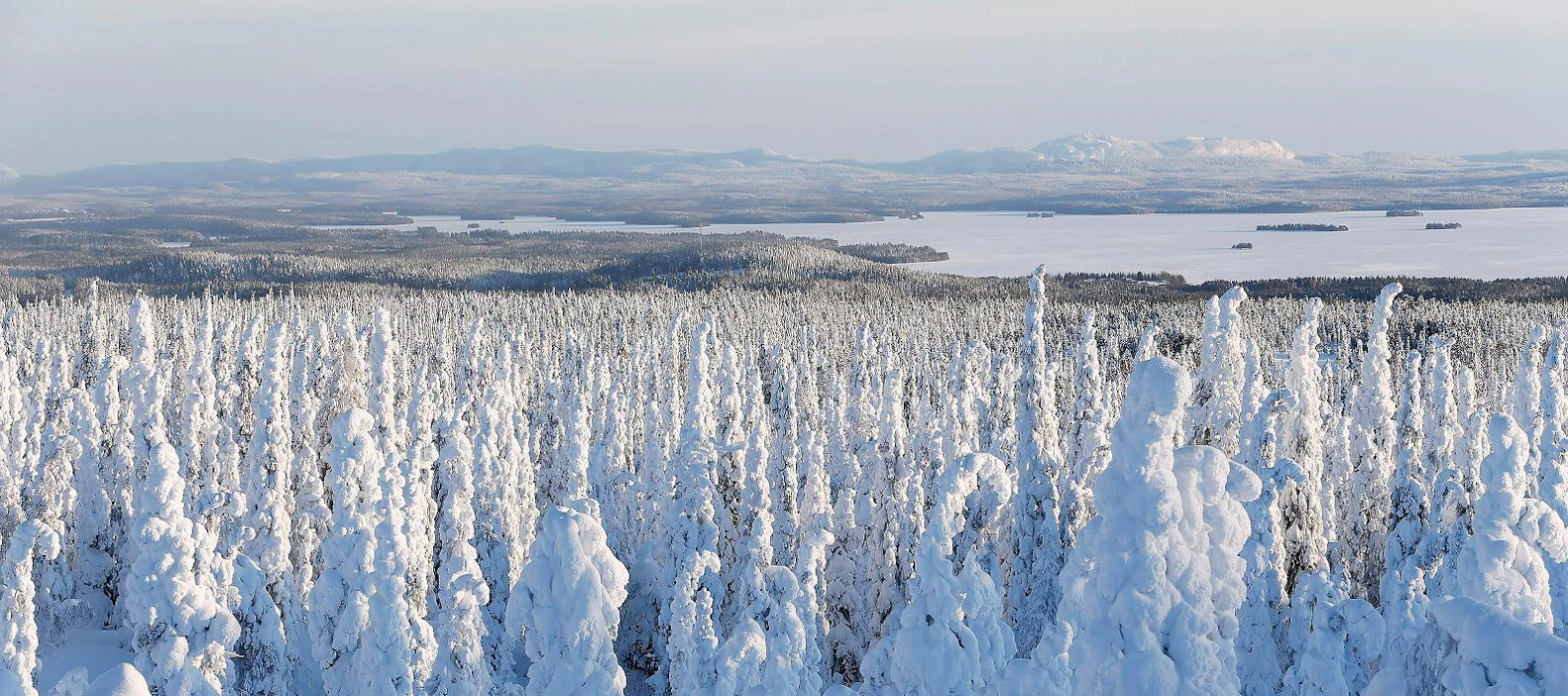 Riisitunturilta avautuu maisemat Rukatunturin ja Kitkan vesistön suuntaan. Kuusamon kansallispuistoista esimerkiksi Oulangassa kävijöitä oli lähes 190 000 viime vuonna. 75 prosenttia puiston pinta-alasta on syrjävyöhykettä, jossa ei ole rakennettua retkeilyn palveluvarustusta.