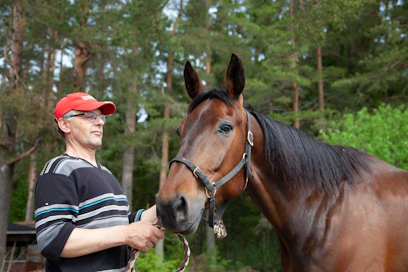 Excalibur It ja Antti Mäntymäki kotitallilla Teuvan Horonkylässä.