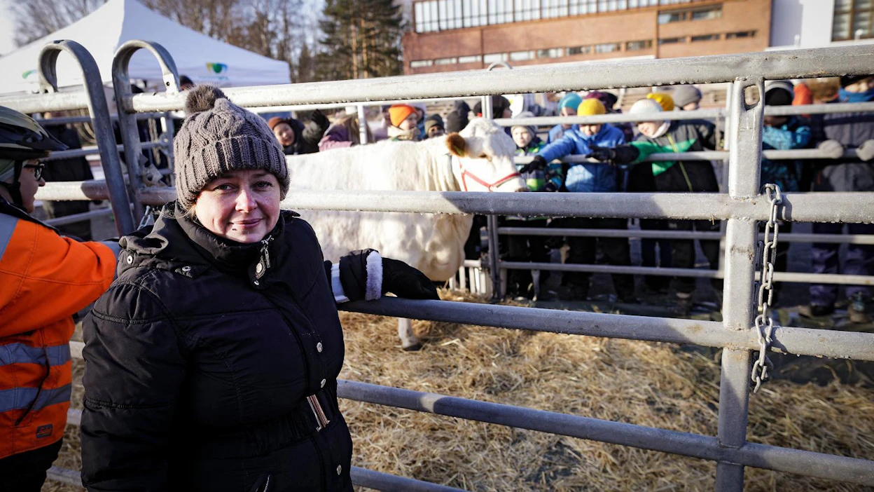 Laukaalaisviljelijä Satu Jalkasen lapinlehmä Ennuste otettiin tänään vastaan Jyväskylän yliopistolla niin aktivistien kuin lapsilauman voimin.