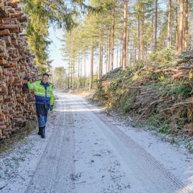 Tapio Koski on hoitanut Lappajärvellä nuoria metsiään kuntoon kemeratuella.