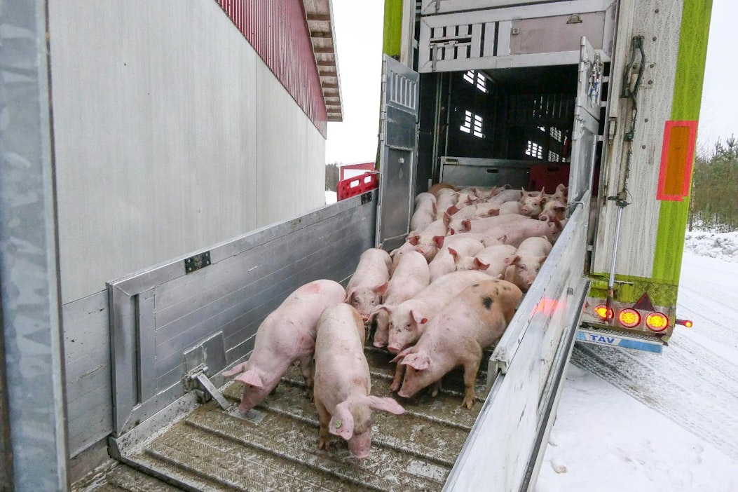 Osuuskunta Lihakunta on toinen Atrian pääomistajista.