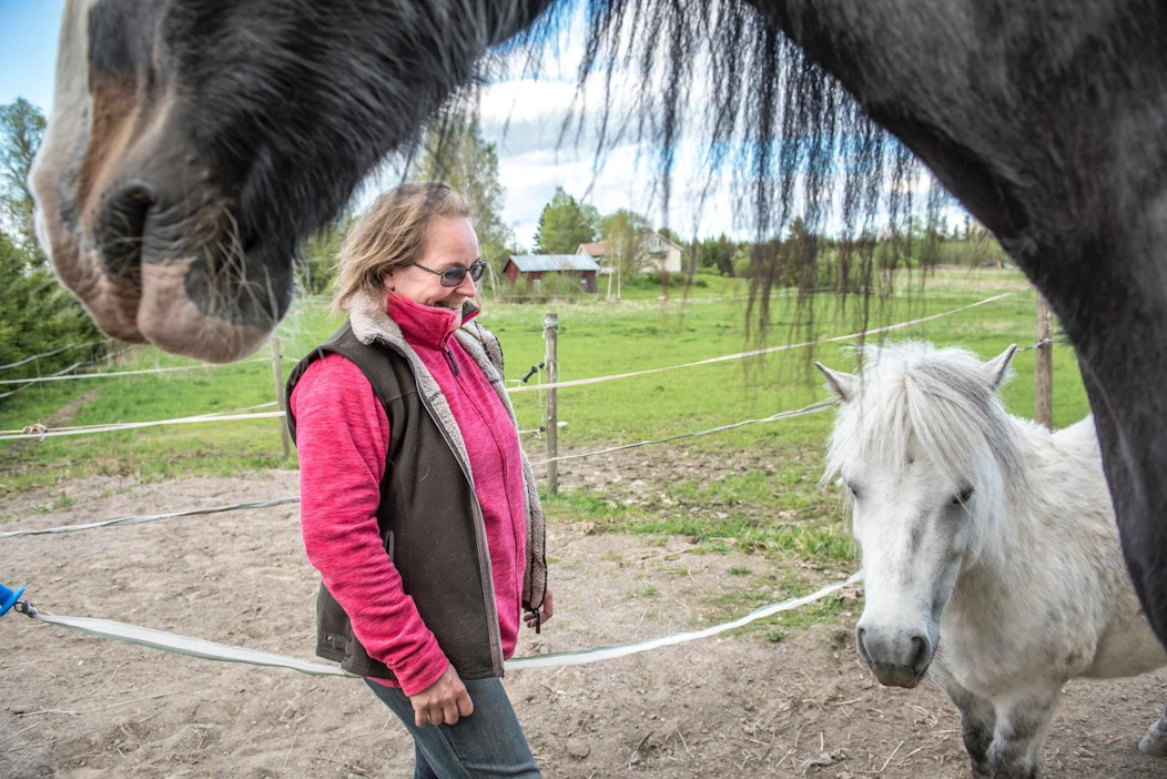 ”En voi olla hevosen henkinen johtaja, jos en ole itseni henkinen johtaja", sosiaalipedagogista hevostoimintaa ohjaava Ulla Hukka sanoo.