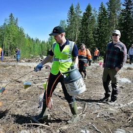 Tästä se alkaa. Risto Rönkkö sytyttää luonnonhoidollisen kulovalkean. Lähimpänä oikealla on metsänomistaja Marko Ahola.