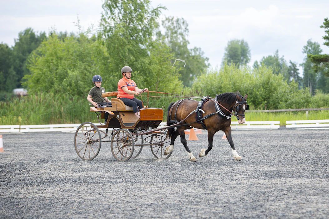 Jenniina Sillanaukee harjoitteli welshponi Peppermint Duchessella groominaan toisen perheleiriläisen poika, Lenni Jokinen.