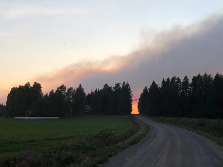 Palo on tuhonnut metsää laajalta alueelta. Osa puustosta on edelleen myyntikelpoista, mutta kelpaa luultavasti lähinnä energiapuuksi.