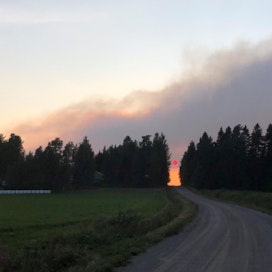 Palo on tuhonnut metsää laajalta alueelta. Osa puustosta on edelleen myyntikelpoista, mutta kelpaa luultavasti lähinnä energiapuuksi.
