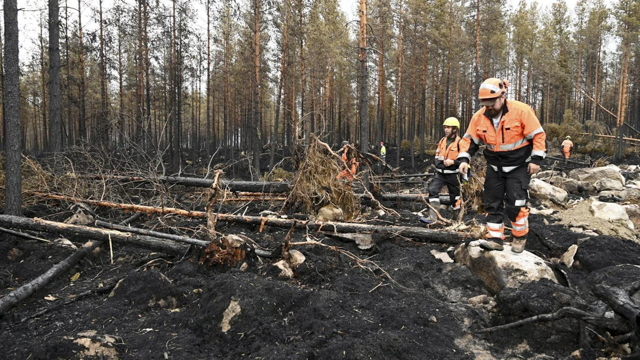 Sammutustöiden Kalajoella arvioidaan jatkuvan ainakin kuluvan viikon ajan. Kuva heinäkuun lopulta. LEHTIKUVA / Aki Paavola
