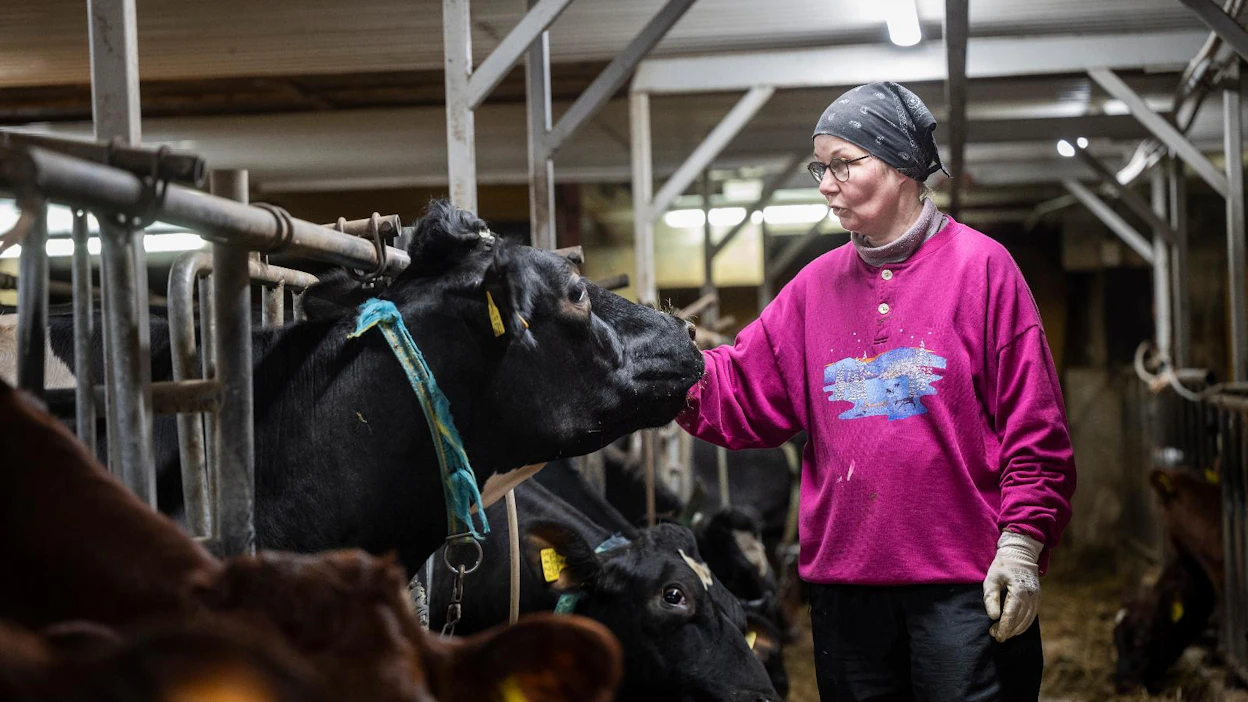 Ylitorniolainen maidontuottaja Pirjo-Riitta Oja arvostaa lomittajia. Hän toivoo että työhön liittyviä epäkohtia saadaan korjattua, jotta ala houkuttelisi osaavia tekijöitä. "Välillä tarvitsee paussia, että jaksaa."