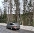 Laho puu kaatui henkilöauton päälle maantiellä, joka kulkee liito-oravan suojelualueen läpi. Tienvarsipuustoa ei suojelun vuoksi voitu paikalla raivata.