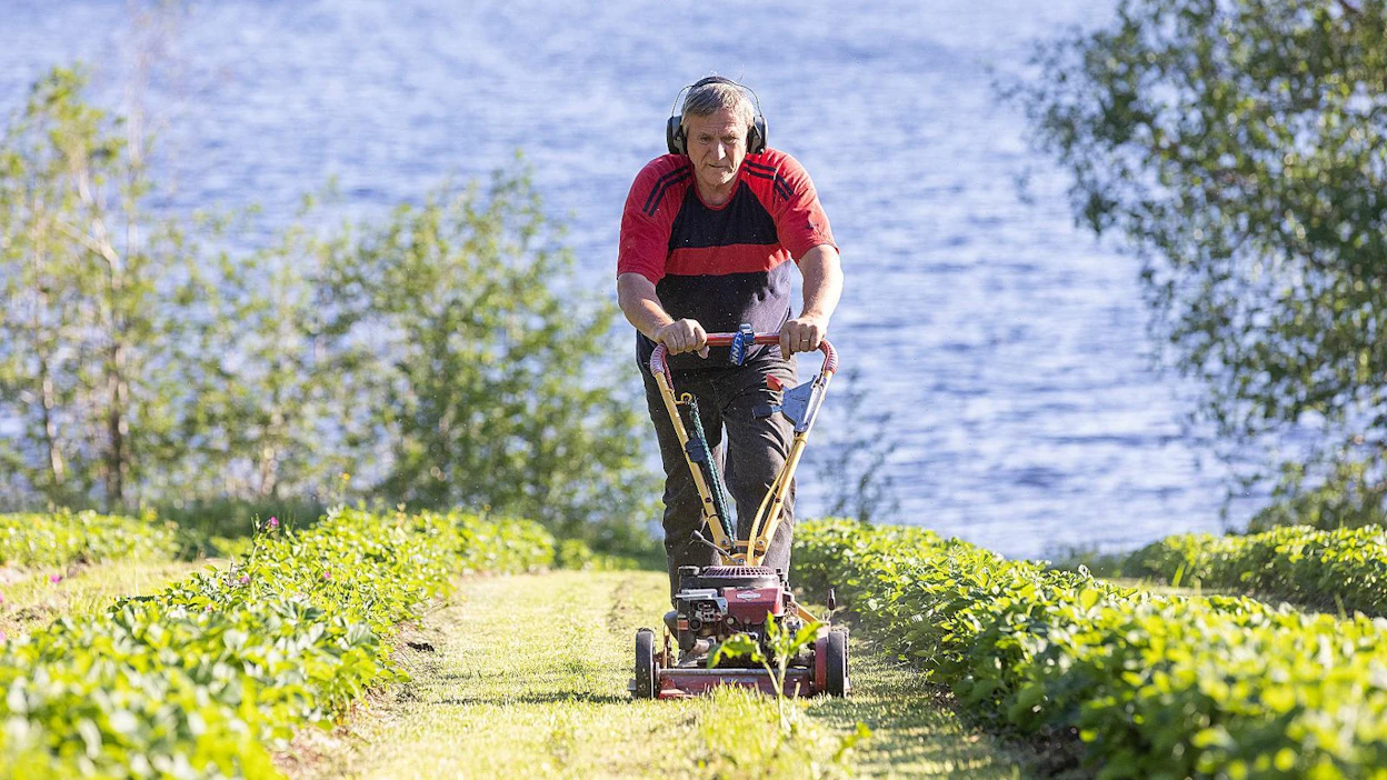 50 vuotta sitten Ilmari Schepel muutti Suomeen. Hän perusti Heinävedelle suuren mittakaavan luomutilan, joka oli ensimmäisiä Suomessa. Agronomina hän teki aktiivisen uran luomun neuvontaketjussa.