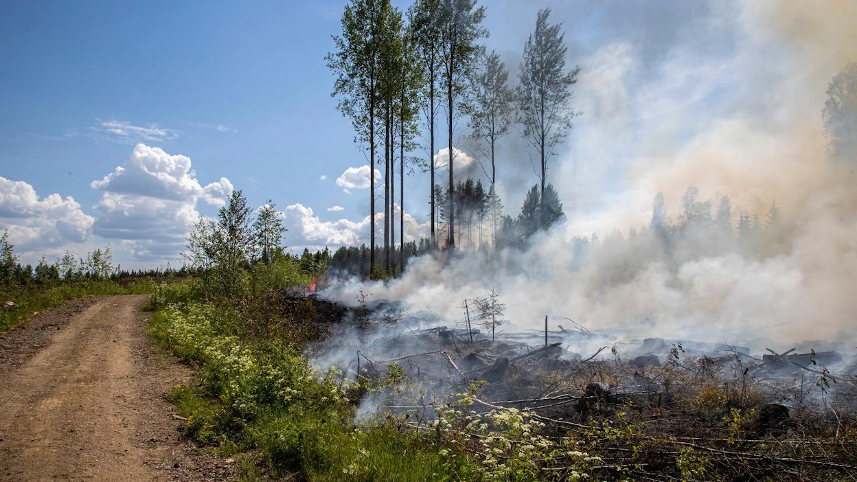 Pelastuslaitos pyytää ihmisiä ilmoittamaan vain savuhavainnoista, joiden lähde on selvä. Kuvassa tehdään hallittua kulotusta.