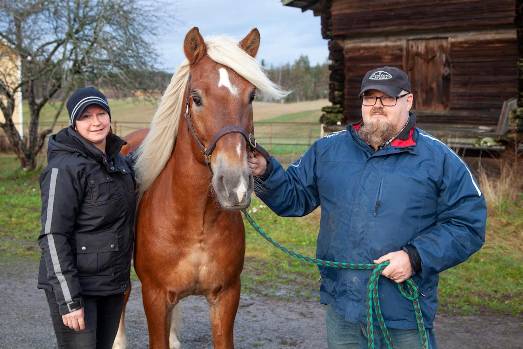 Virpi Färlin ja Matti Patronen kehuvat Merran Roihun toimivuutta kotioloissa.