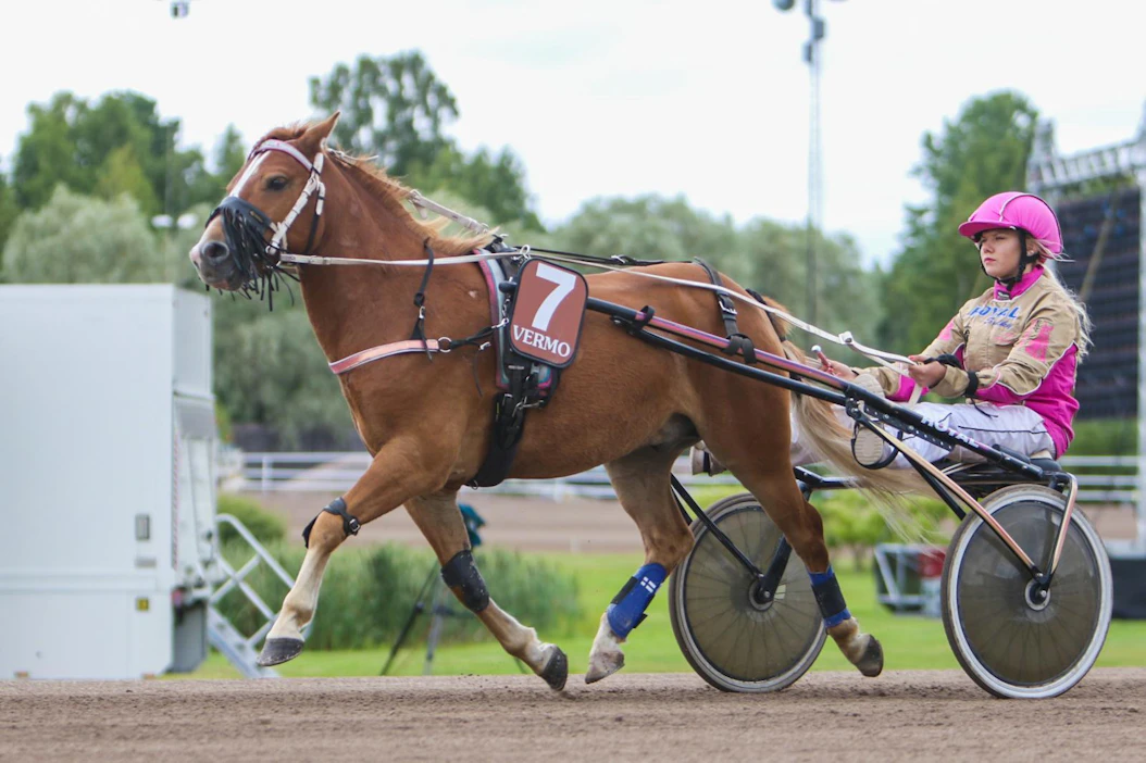 Nina Hänninen on ajanut kilpaa poneilla vuodesta 2012 lähtien. Aluksi hän ei pitänyt ajamisesta, sillä hänestä omalla ponilla ratsastaminen oli mukavampaa.
