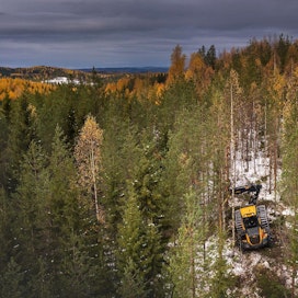Suomessa on ensiharvennusrästejä miljoona hehtaaria, joiden purkaminen toisi siirtymäkaudeksi bioenergiaa vähentyvän turpeen sijaan ja töitä turveyrittäjille.