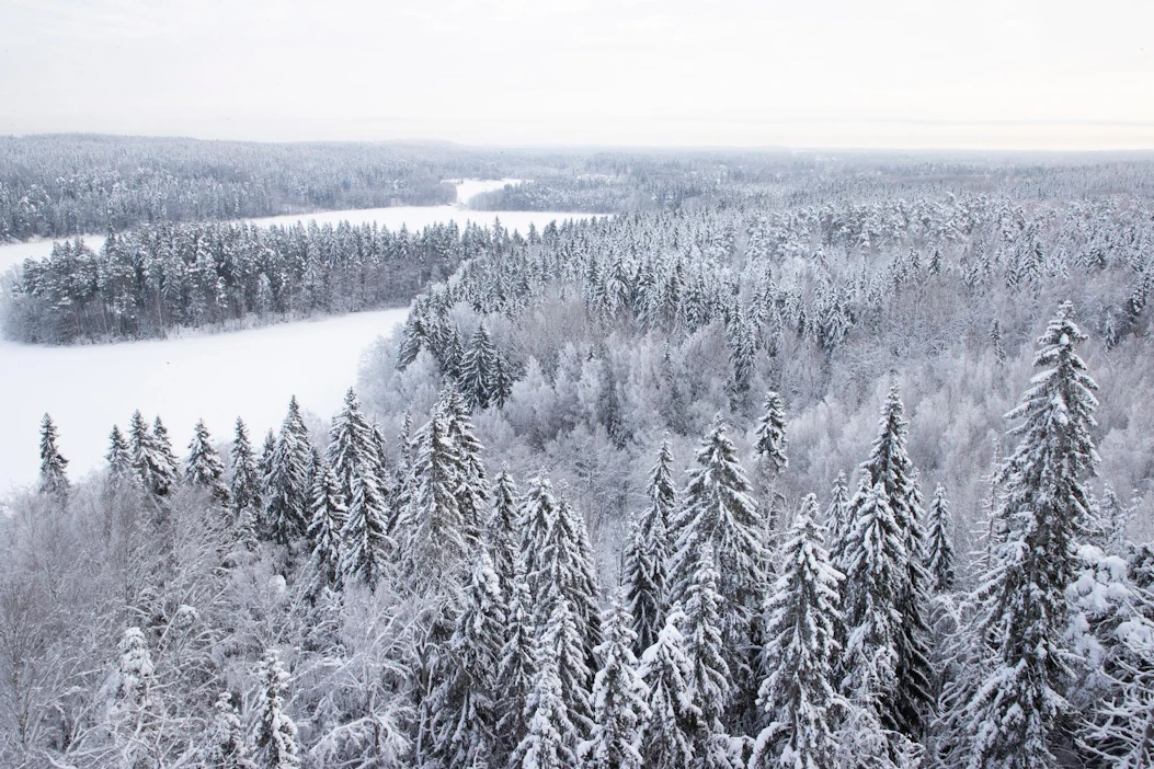 Maa- ja metsätalousvaliokunnan mukaan ihmisten metsissä liikkumista ei tule nähdä uhkana metsien luonnon monimuotoisuudelle.