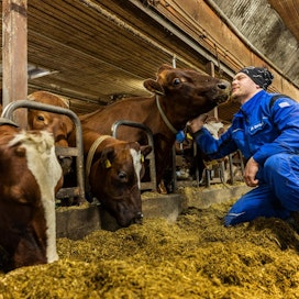 ”Kaikkein pahimpaan pitää varautua, elämä kun voi muuttua sormia napsauttamalla&quot;, toteaa maidontuottaja Jarkko Hyttinen. Hän pyörittää puolisonsa Anni Heiskasen kanssa noin 70 lehmän maitotilaa.