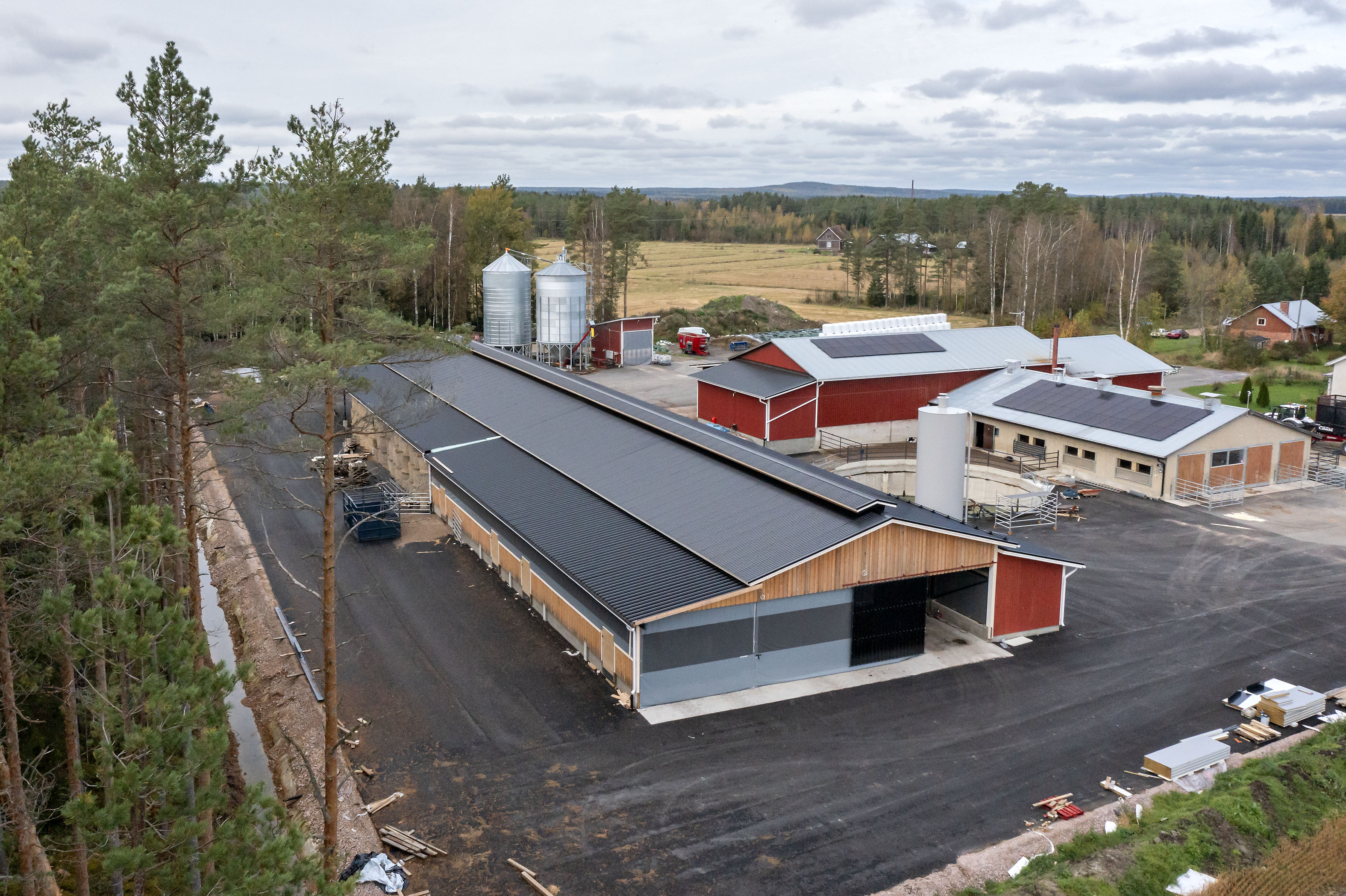 Laajennuksen myötä eläinmäärä yli kolminkertaistuu maatalousyrittäjä Jussi Lohikosken sonnikasvattamossa Kurikassa.