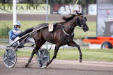 An-Dorra ja Jarmo Saarela olivat lähellä täysosumaa Vermon Derbyssä. Valjakko yrittää revanssia Magical Princessistä Villinmiehen Tammakilpailussa lauantaina.