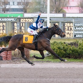 Nelly Korpikoski sai tuulettaa Prix Monté Finlandian voittoa Luxurious Lordilla toukokuussa 2019. Kotimaassa hän on voittanut kaikki muut isot lähdöt, mutta ei vielä suomenhevosten SM-titteliä.