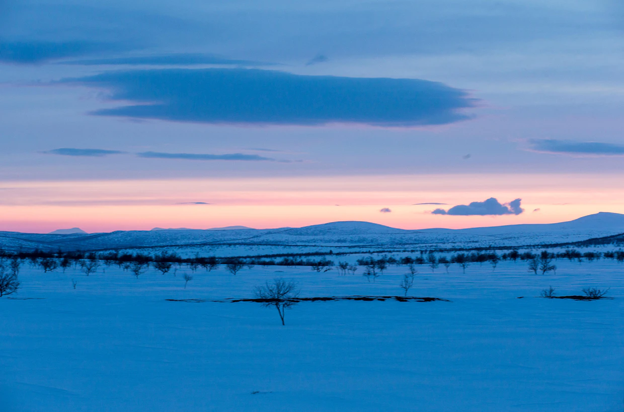 Iltaöinen näkymä Njaugoaivin tuvalta luoteeseen Akujärven suuntaan. Erämaan hiljaisuuden katkaisee riekon nauru.