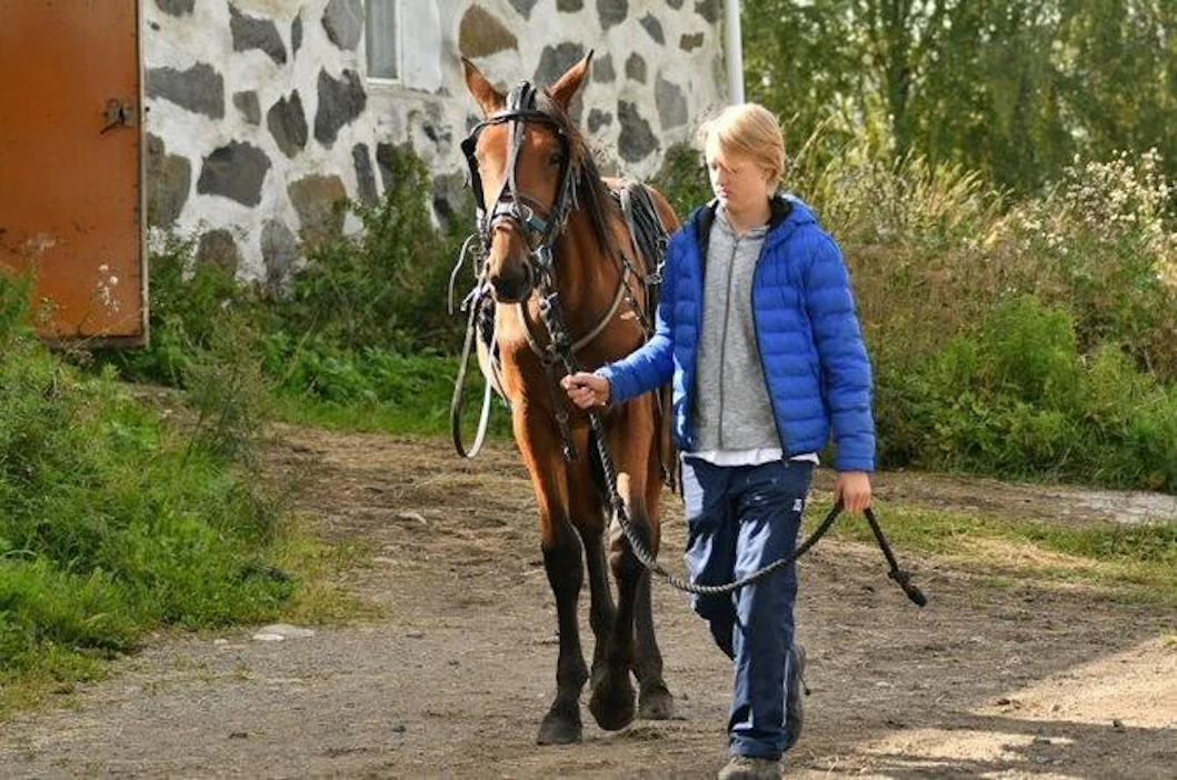 Kuvassa Knowledgea taluttava Anton Punkka on ajanut 60 starttia poneilla. Lähiajan tähtäimessä on siirtyä kilpailemaan hevosilla.