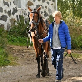 Kuvassa Knowledgea taluttava Anton Punkka on ajanut 60 starttia poneilla. Lähiajan tähtäimessä on siirtyä kilpailemaan hevosilla.
