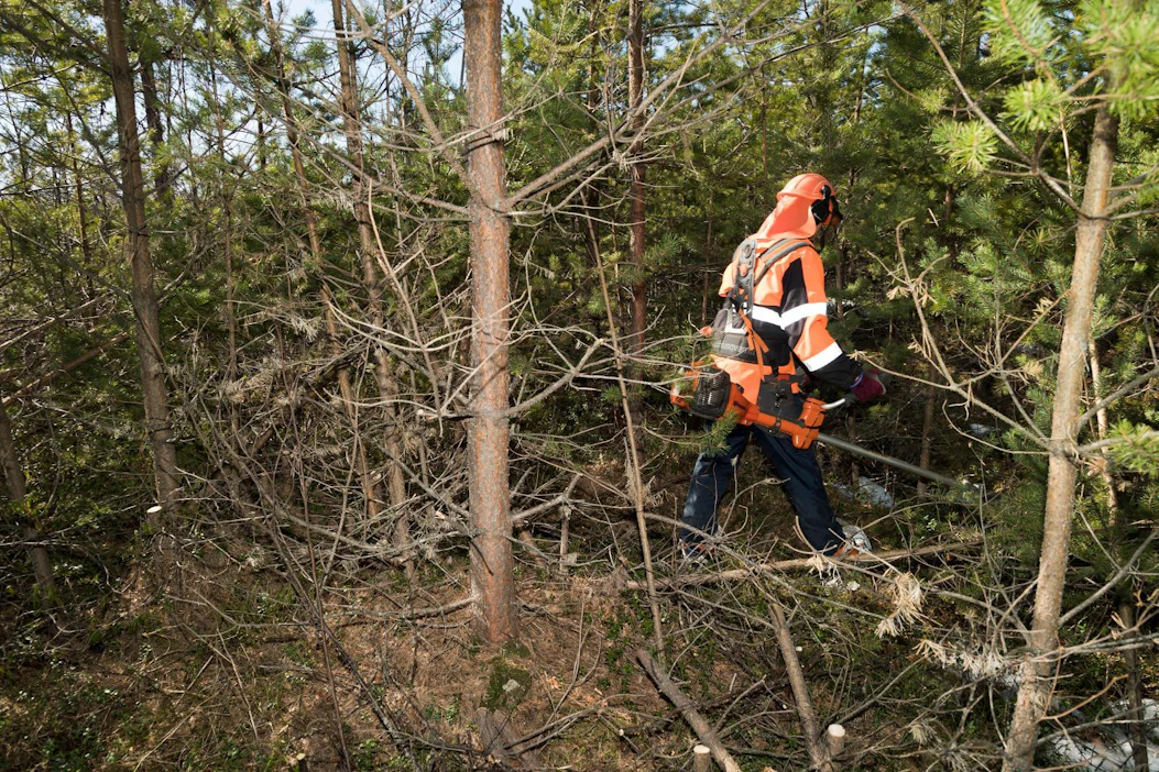 Metsänomistajilta ei irtoa ymmärtämystä EU:n komission esitykselle, joka lisäisi yli 13 hehtaarin metsätilojen byrokratiaa ilman vastaavia hyötyjä.