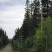 Puhelinlangat lauloivat yhä laajemmin ympäri Suomea.