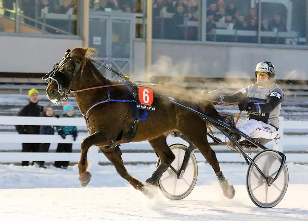 Ikäluokkansa eliittiin kuuluva 6-vuotias Evartti mursi tapaturmaisesti nuljuluunsa ja keskittyy lähiaikoina kilpailemisen sijaan siitokseen.