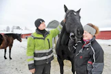 Winter's Lollipop on jättänyt toistaiseksi kaksi varsaa. Se kantaa RC Royaltysta. Tamman ensimmäinen jälkeläinen Bigwig Swamp (i. S.J's Photo) oli viime syksyn huutokaupan toiseksi kallein varsa.