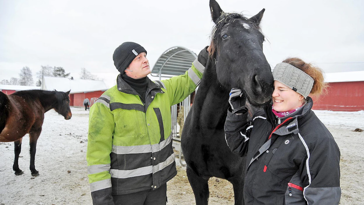 Winter's Lollipop on jättänyt toistaiseksi kaksi varsaa. Se kantaa RC Royaltysta. Tamman ensimmäinen jälkeläinen Bigwig Swamp (i. S.J's Photo) oli viime syksyn huutokaupan toiseksi kallein varsa.