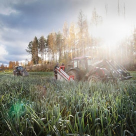 Luomutuotanto on kasvanut 2010-luvulla, joten EU:n ja Suomen tavoitteet tuotantopinta-alan kasvattamisesta vaikuttavat realistisilta.