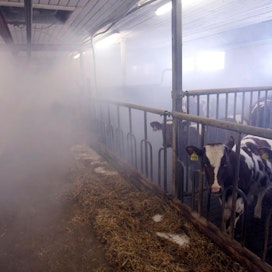 Navettapaloissa savu voi tainnuttaa eläimet, mikä hankaloittaa niiden pelastamista. Kuva paloharjoituksista, joissa savu on tehty savukoneella.