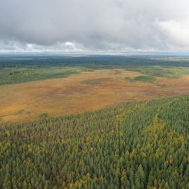 Kiuruvedellä sijaitseva Saarisuo on 98 hehtaarin kokoinen aapasuo, jonka reunat ovat tiuhaan ojitettuja. Saarisuon alueelta ja läheisyydestä suojeltiin kaupan myötä yhteensä noin 160 hehtaaria.