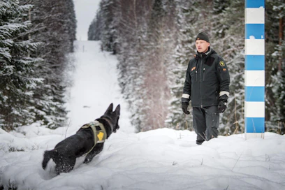 Vanhempi rajavartija Taisto Väänänen ja rajakoira Kiti kulkevat työkseen maastossa. ”Susihavainnot ja -jäljet ovat lisääntyneet. Sudet ovat myös muuttuneet rohkeammaksi, ne eivät karta esimerkiksi tuoreita ihmisen jälkiä.”