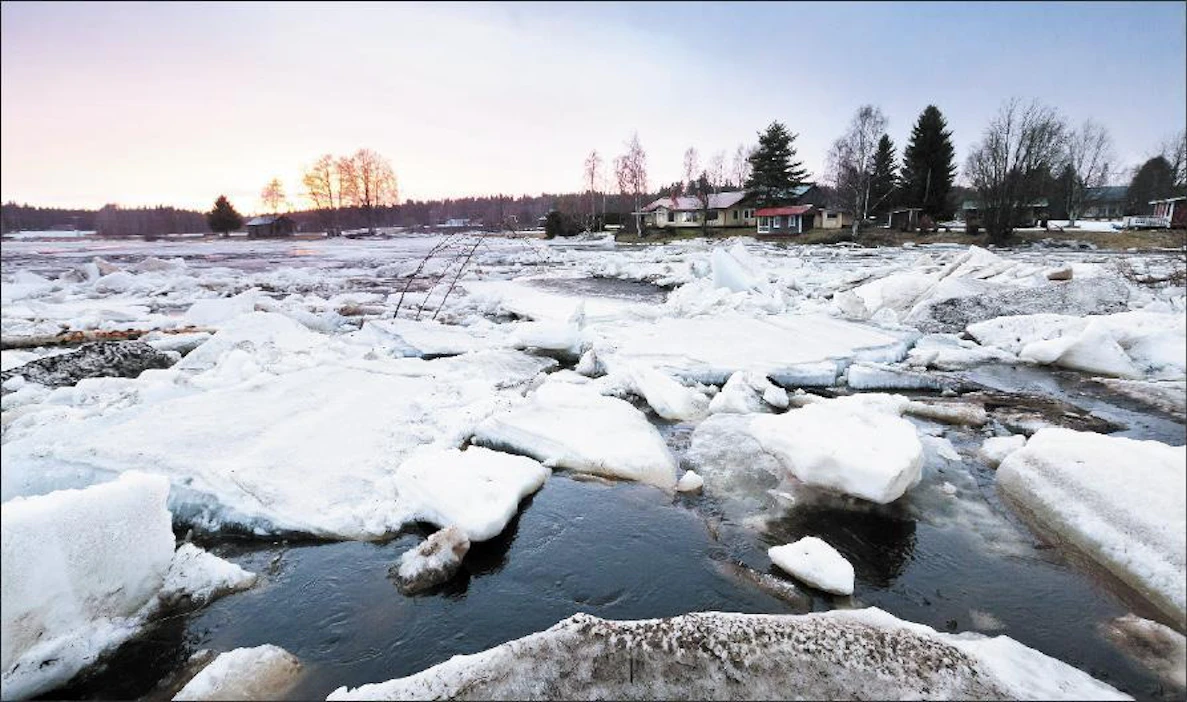 Kiiminkijokeen syntyi vapun alla jääpato Tirinkylän kohdalle. Kuva on otettu vappuaaton iltana. Pekka Fali