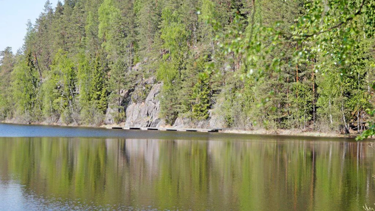 Voimametsä hyvinvointia edistävä teemapuisto metsäpolku 'Ikaalisten kylpylä järvenranta kallio männikkö mänty maisema