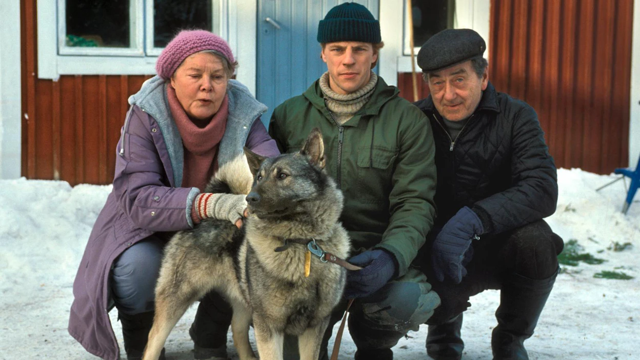 Metsolat-televisiosarjan tarina alkaa vuodesta 1987. Annikki (Helinä Viitanen) ja Antti Metsola (Ahti Haljala) pitävät 12 lehmän lypsykarjatilaa. Heitä auttelee nuorin pojista, entinen maajoukkuehiihtäjä Erkki Metsola (Kari Hakala), kuvassa keskellä.
