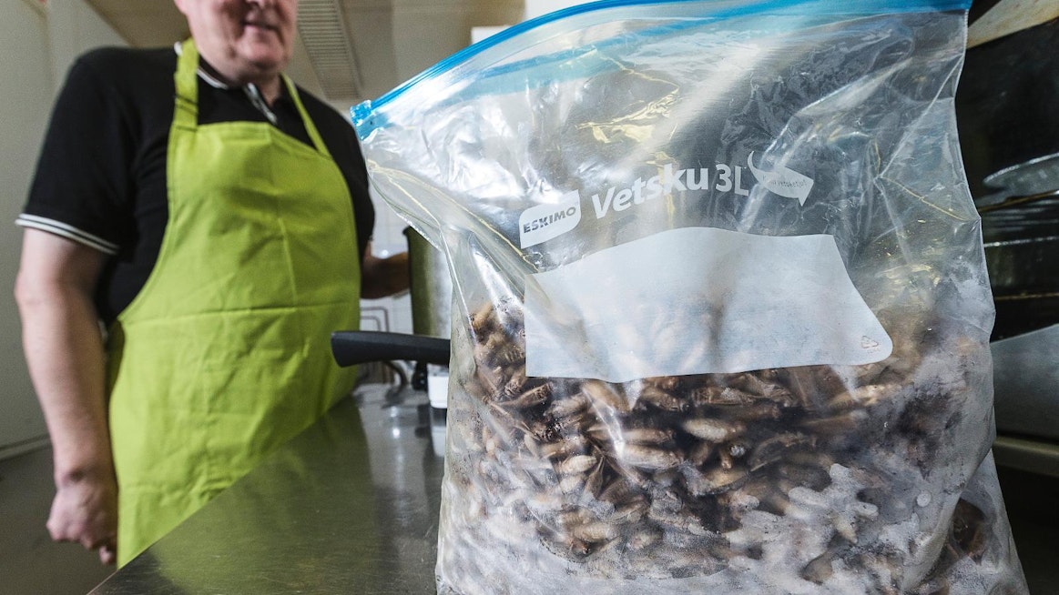 Hirvelän tilalta sirkat matkaavat Jussi Vinnin yritykseen, joissa niistä tehdään Sirkka koiranherkku -koiranruokaa.