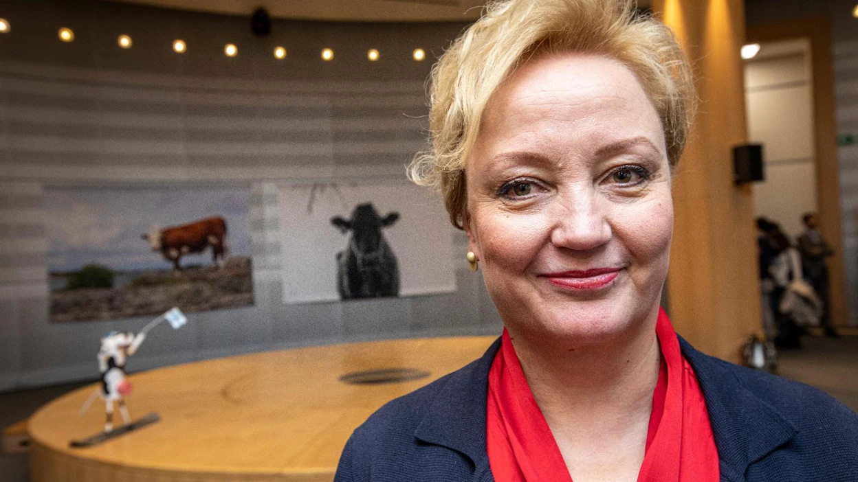 Elsi Katainen uskoo, että jatkoneuvotteluista jäsenmaiden kanssa tulee vaikeat. "Parlamentti haluaa antaa signaalin, että ympäristöasiat pitää ottaa huomioon."
