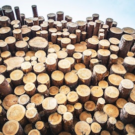 Puukaupan tunnelmaa ovat kiristäneet ostajien ja myyjien väliset muutamat puutavaran katkontakiistat, joista yhdestä on jo saatu hovioikeuden tuomio.