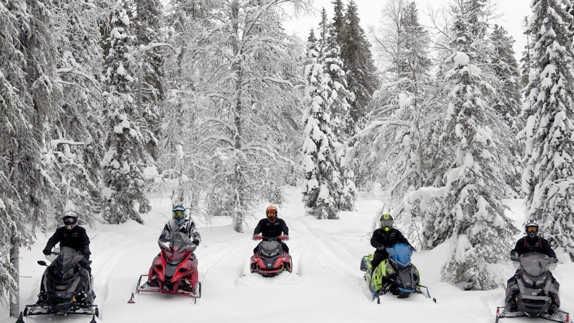 Moottorikelkkavertailuun osallistui viisi kelkkamerkkiä: Arctic Cat Riot X 8000 ES QS3 146”, Lynx Rave RE 850 3500 E-Tec, Ski-Doo Renegade X-RS 137”, Polaris INDY 850 XC 137 ES IDD sekä Yamahar Sidewinder L-TX GT 137.