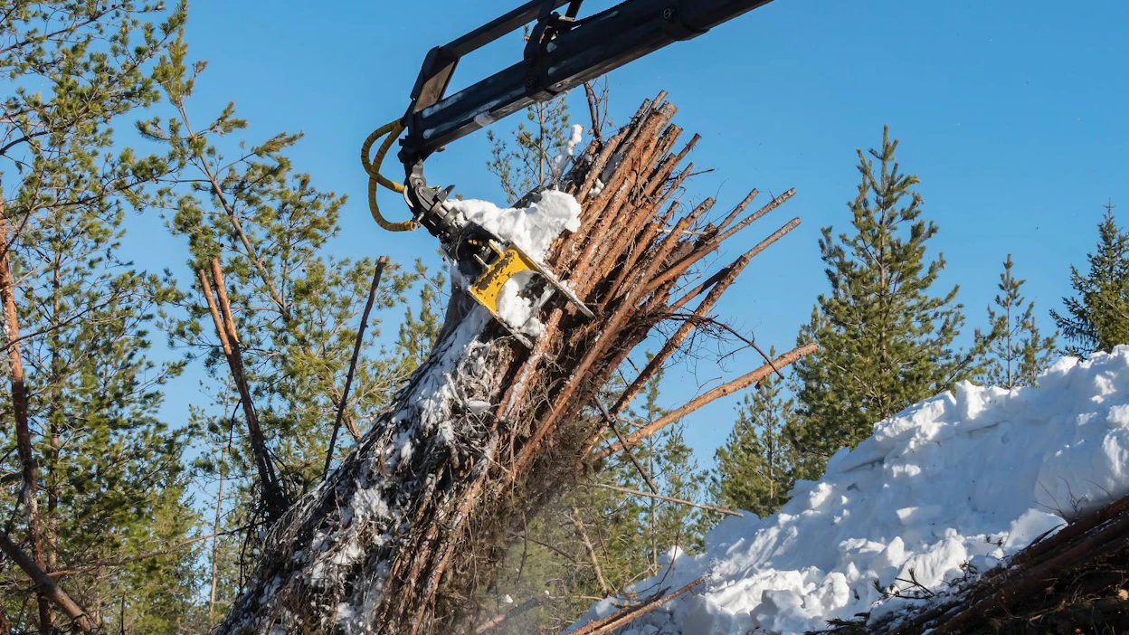 Hankintamäärältään Itä-Suomen Biomassa tulee olemaan Suomen viidenneksi suurin energiapuun hankintayhtiö.