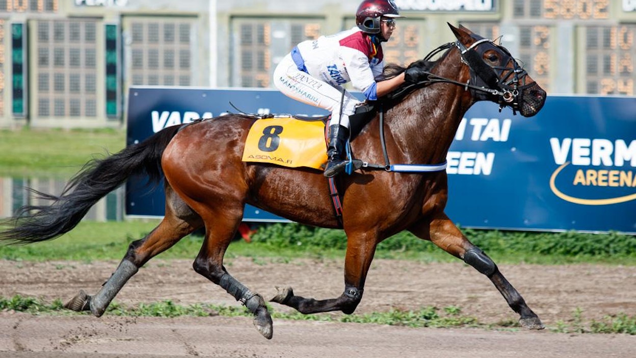 Slippery Runwayn tallikavereita Jarno Gyntherillä on kuvan Nitro Diablo. Kuvassa Nitro Diablon ratsailla Janita Antti-Roiko, joka on Slippery Runwayn aikaisempi valmentaja.