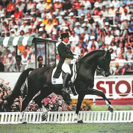 Matador on ollut mittapuu, jonka mukaan Kyra Kyrklund arvioi kaikkia muita hevosiaan. Kuvassa kaksikko kilpaili voittoisasti Tukhoman MM-kisoissa vuonna 1990.