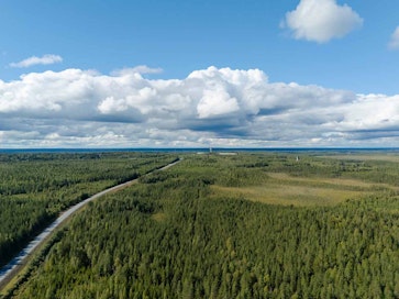 Pitkä tie kulkee metsän halki kohti horisonttia. Taustalla näkyy laaja metsäalue ja pilvinen taivas.