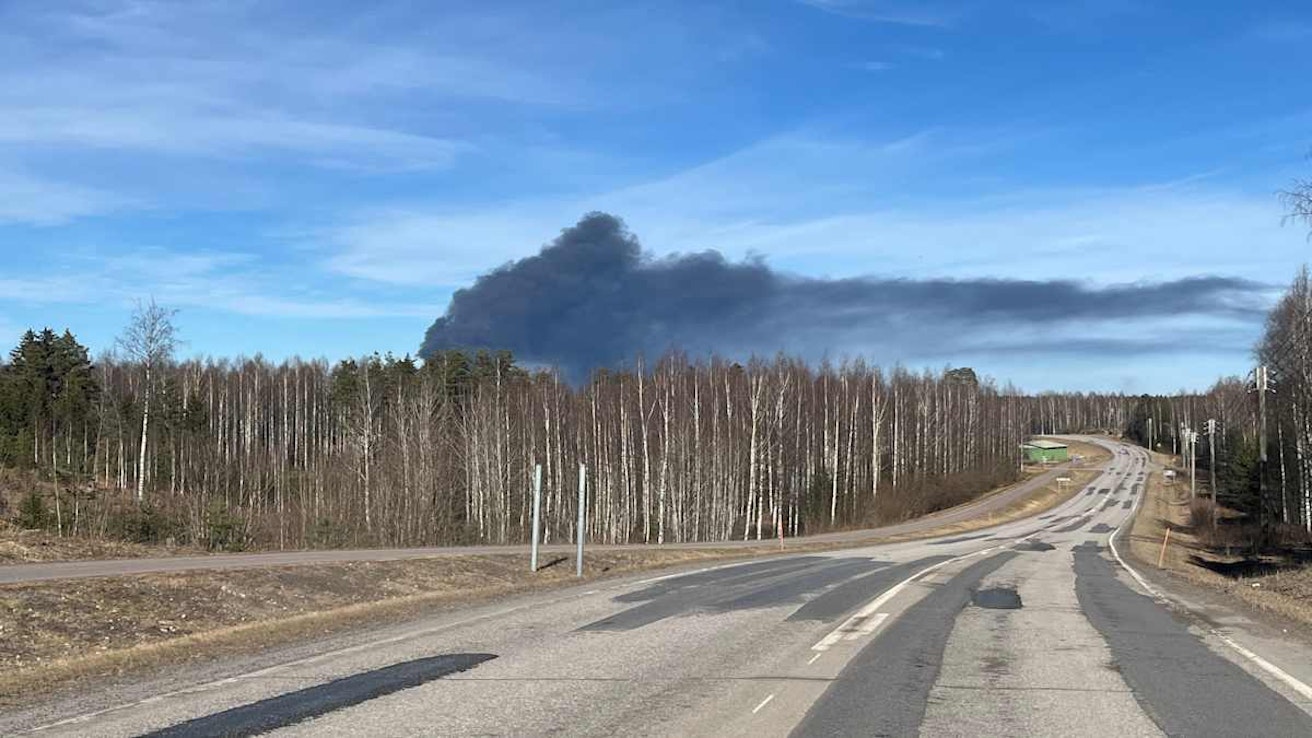 Metsän takana näkyy voimasta tummaa savua. Etualalla näkyy maantie.