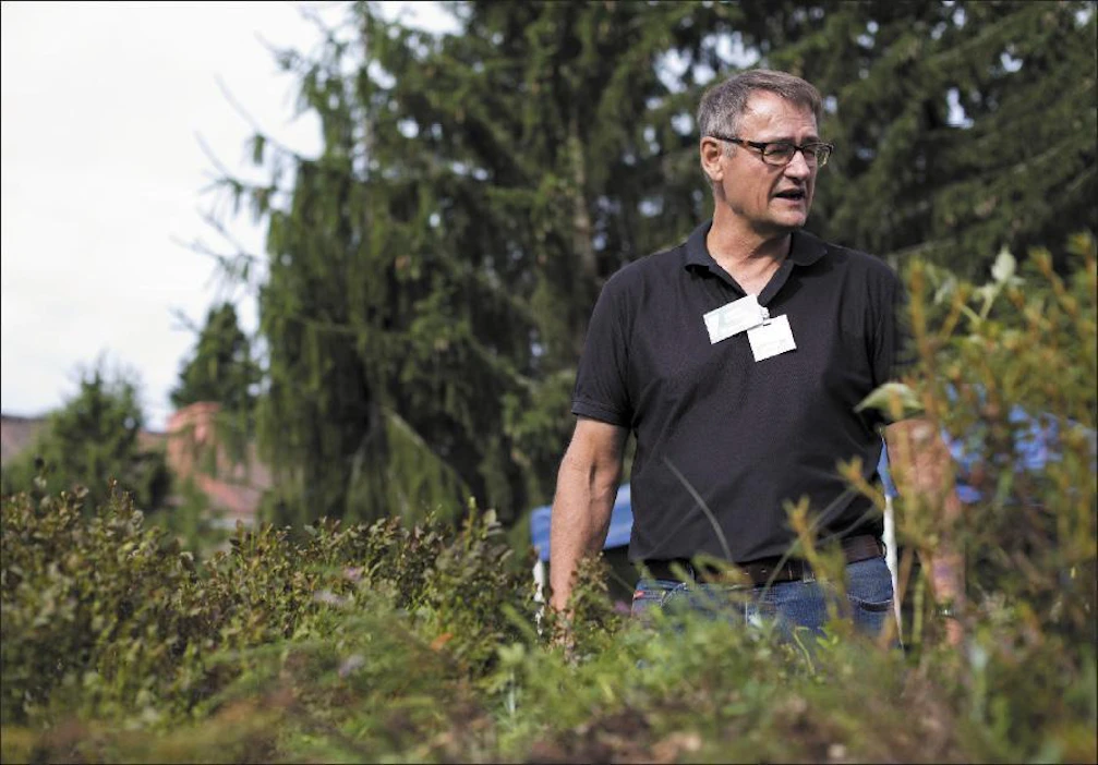 Vihervakan toimitusjohtaja Risto Sarkki uskoo, että kuvan etualalla näkyvällä uudella kostean paikan kuntalla on mahdollisuudet nousta suosioon. Ville-Petteri Määttä