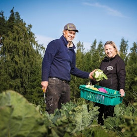 Jarno Mauno ja Kikko Askola-Mauno viljelevät tilallaan vihanneksia.